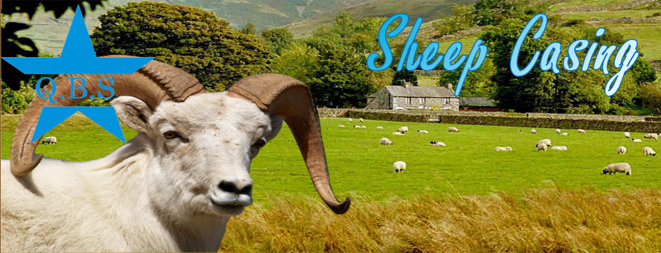SHEEP CASING